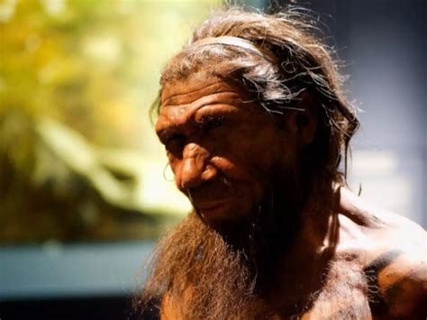 Neanderthal DNA May Be Behind Why Your Skin And Hair Are A Certain Colour