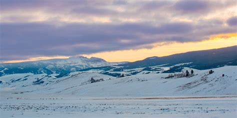 ELK REFUGE INN (Jackson, Jackson Hole, WY) - Hotel Reviews, Photos ...