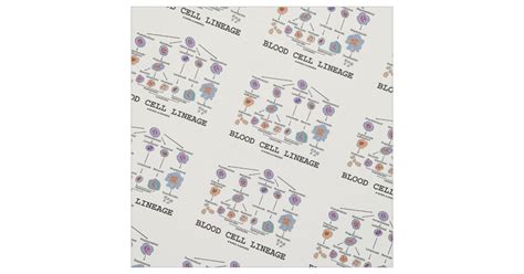 Image result for Blood Cell Lineage Chart