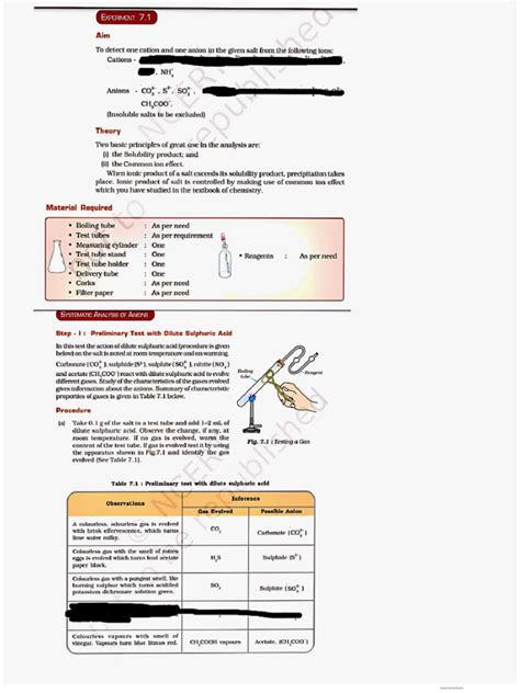 Grade 12 Chemistry Experiments 的图像结果