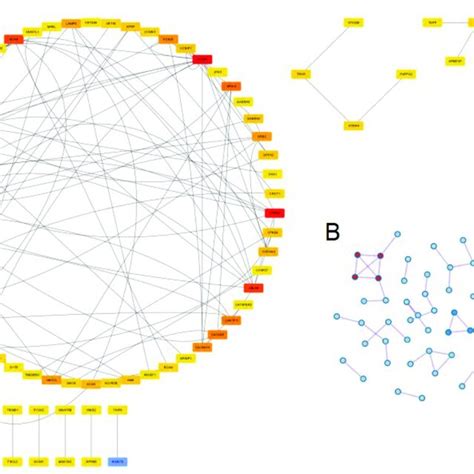 Image result for Intraperitoneal Injection Mice Model
