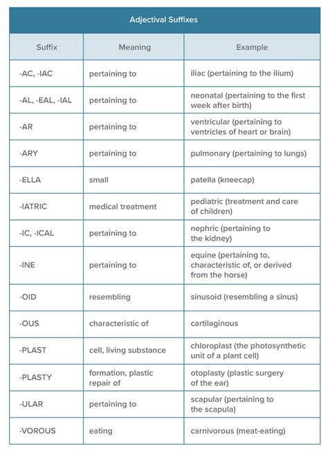 696288 05A - Med terminology -AC, -IAC -AL, -EAL, -IAL -AR -ARY -ELLA ...