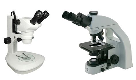 Image result for Compound vs Dissecting Microscope