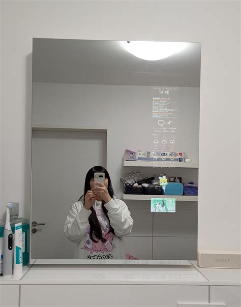 Image result for Magic Mirror Alexa Module