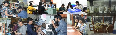 Zoology - CU