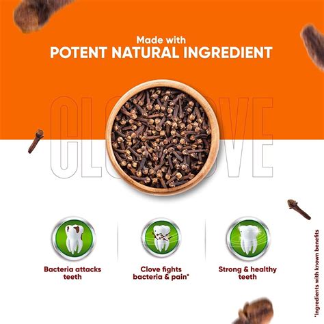 Dabur Herb'l Clove Cavity Protection Toothpaste, 100 gm Price, Uses ...
