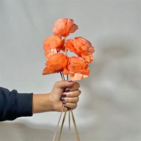 Peach Rose – Mapland