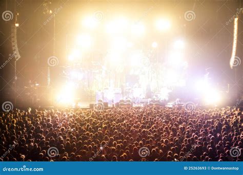 Cheering Crowds in a Concert Stock Image - Image of enjoyment, festival ...