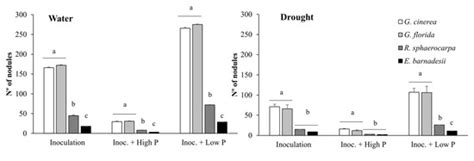 Phosphorus and Nitrogen Modulate Plant Performance in Shrubby Legumes ...