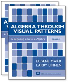 Image result for Visual Pattern and Function Algebra 2