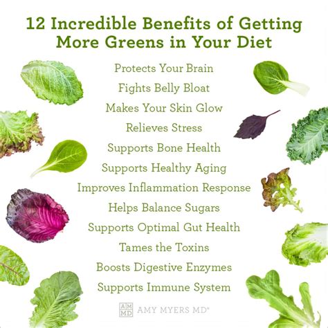 Importance Of Leafy Greens In Your Diet at Douglas Tijerina blog