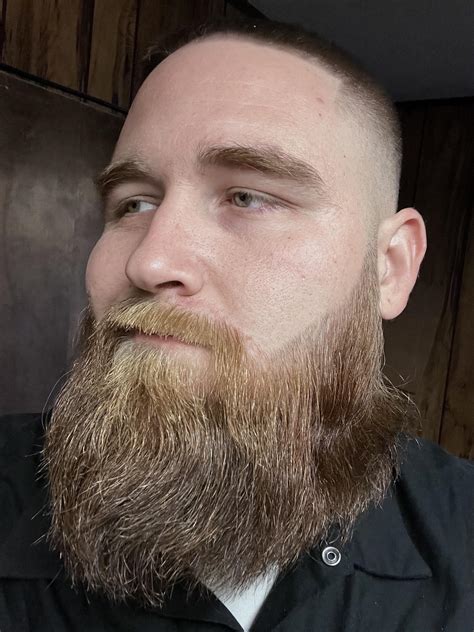 Kept the top long low fade. Beard balm : r/beards