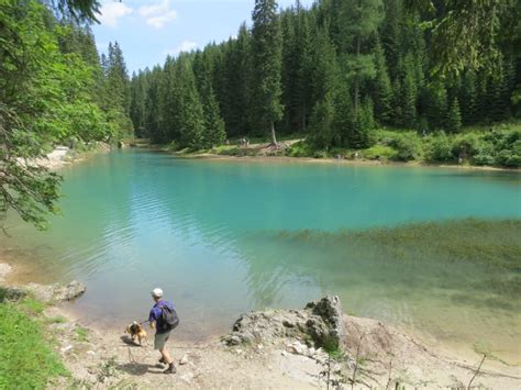 Day Trips to the Swiss Alps from Milan - Hellotickets