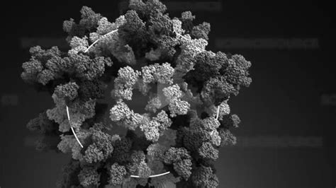 Virus Structure Animation 的图像结果