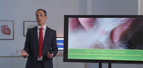 Image result for Vet Tutorial