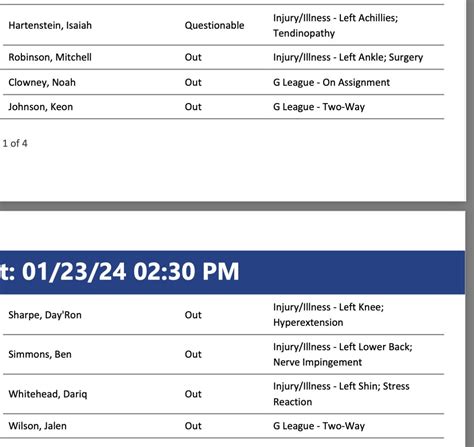 Brooklyn Nets Injury Report Vs Knicks at Jill Ford blog