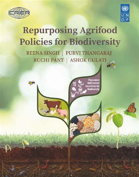 Publications - ICRIER