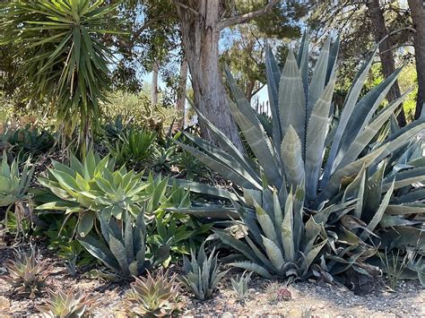 THE 30 BEST Places to Visit in Thousand Oaks (2025)