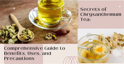 Secrets of Chrysanthemum Tea: Comprehensive Guide to Benefits, Uses ...