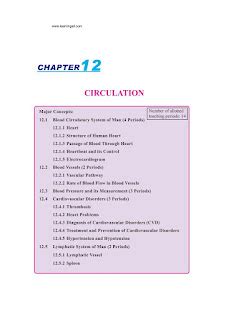 Circulation Class 12 的图像结果