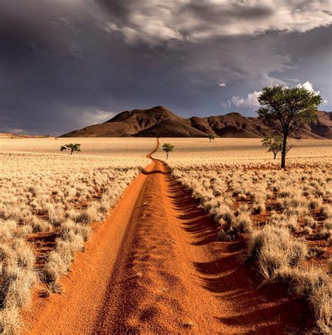 The Desert of Namibia : r/pics