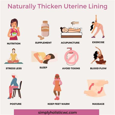 How to Thicken Uterine Lining Naturally to Boost Fertility — Simply Holistic Wellness
