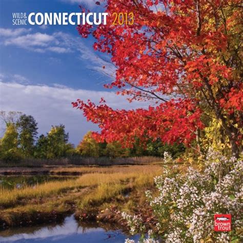 Buy Wild & Scenic Connecticut 2013 Calendar Book Online at Low Prices ...