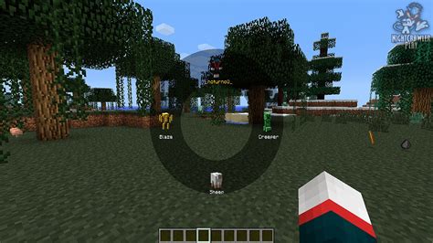 Image result for Minecraft Morph Mod Showcase