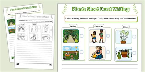 KS1 Plants Short Burst Writing Template