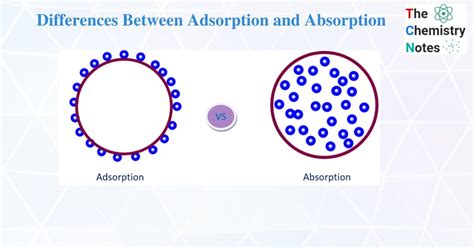 Image result for Science of Absorption