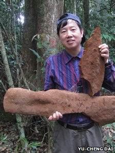 中国发现世界最大真菌 长10米重半吨_生物探索