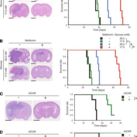Image result for Turing Machine Block Diagram