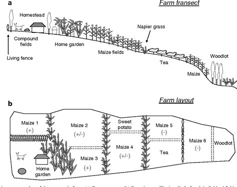 Metropolis-Hastings Algorithm Example 的图像结果