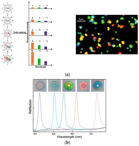 Image result for Cellular Microarray