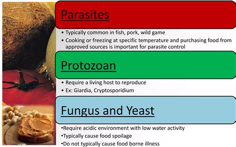 Does Freezing Kill Parasites In Meat Before Cooking