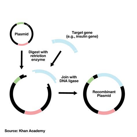 Genetic Engineering 的图像结果