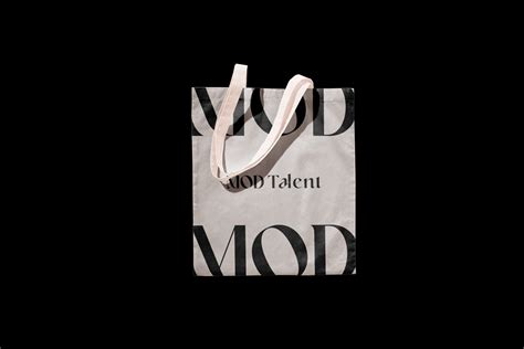 Image result for Mod Application Logo