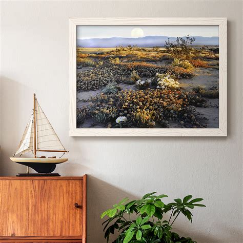 Wexford Home Anza Borrego Desert - Floater Frame Print on Canvas ...