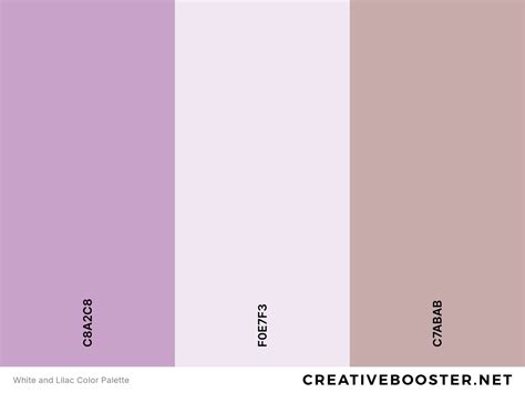 25+ Best Colors That Go With Lilac (Color Palettes) – CreativeBooster