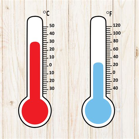 Top 10 Thermometer at Cristina Lee blog