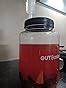 Buy Gutbasket Fermenter 2 L (2 Jars)- Glass Fermentation Jar With ...
