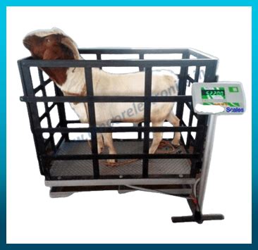 AL-Noor Electronics :: Table Top Scales, Electronic Weight Scale ...