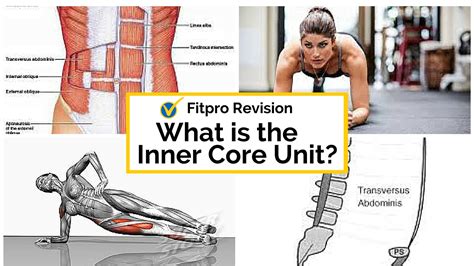 Inner Core Muscle 的图像结果