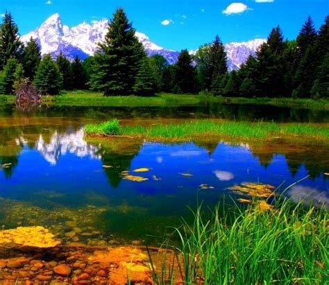 Image result for OpenCV Gradient Methods