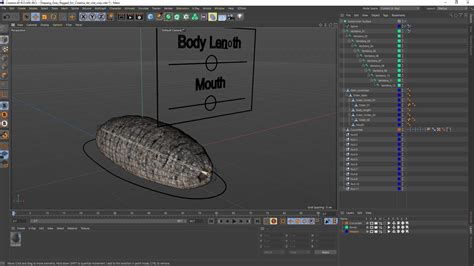 3D Trepang Gray Rigged for Cinema 4D model | 3D Molier International