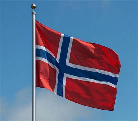 国旗 的图像结果