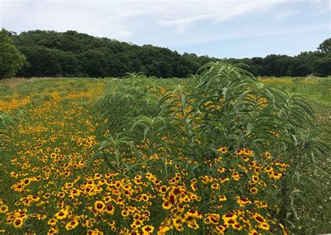 Shawnee Tourism (2024): All You Need to Know Before You Go