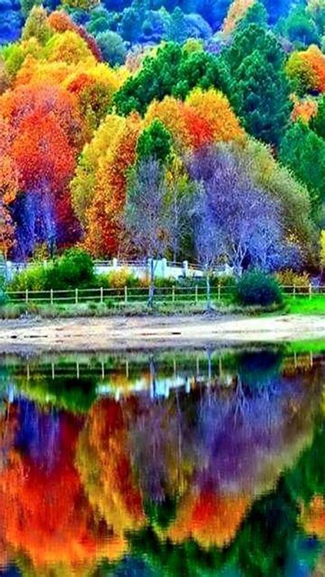 Colorful Vector 的图像结果