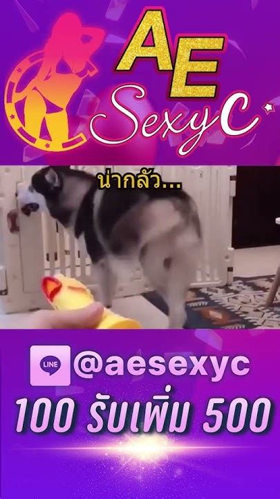 AMBIL SEKARANG