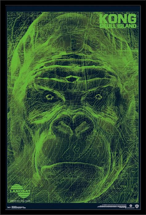 Trends International Wall Poster Kong Scan, 22.375 x 34 : Amazon.in ...
